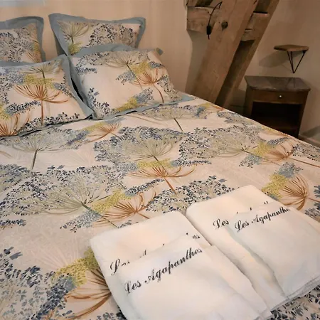 Domaine Des Agapanthes - Maison & D'hotes * Epreville